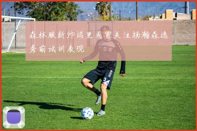 森林狼新帅诺里或曾关注杨瀚森选秀前试训表现